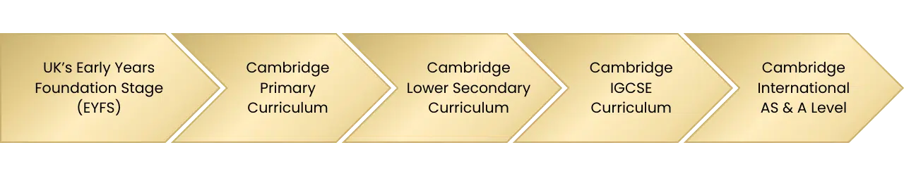 Curriculum Overview