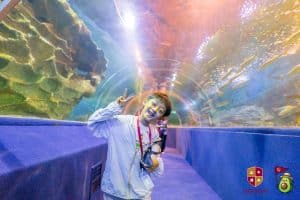 chiang mai aquarium