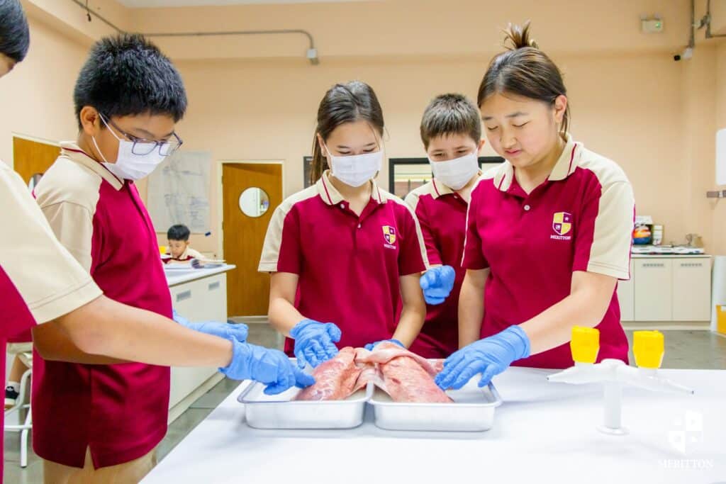 Student explore the lung