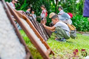 fun learning chiang mai