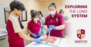 Exploring the Lung System