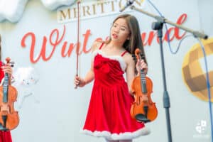 violin