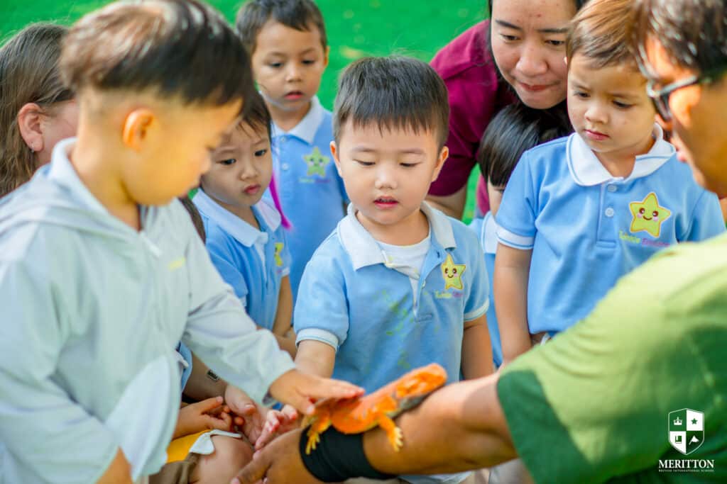 Child Touch Animal