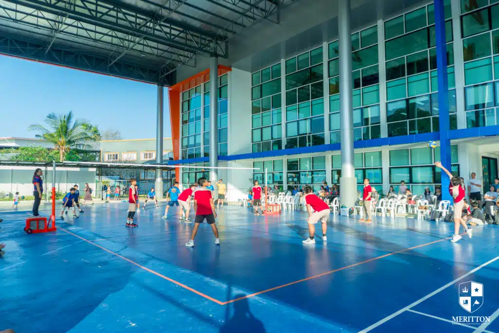 Volleyball field